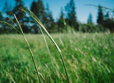 nature_lover